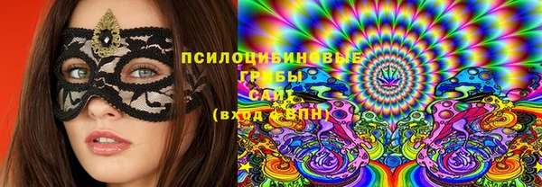 крисы Новозыбков