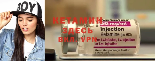 крисы Новозыбков