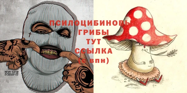хмурый Новодвинск