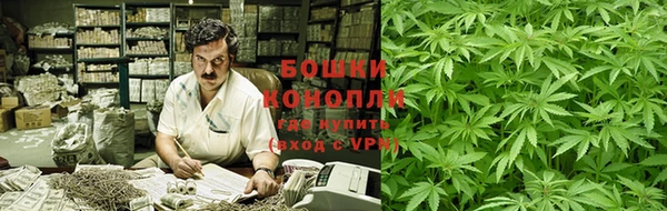 крисы Новозыбков